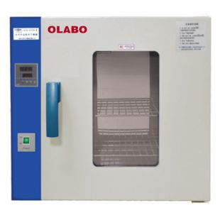 歐萊博電熱鼓風(fēng)干燥箱DHG-9960A 立式，帶觀察窗(RT+10-300°C)